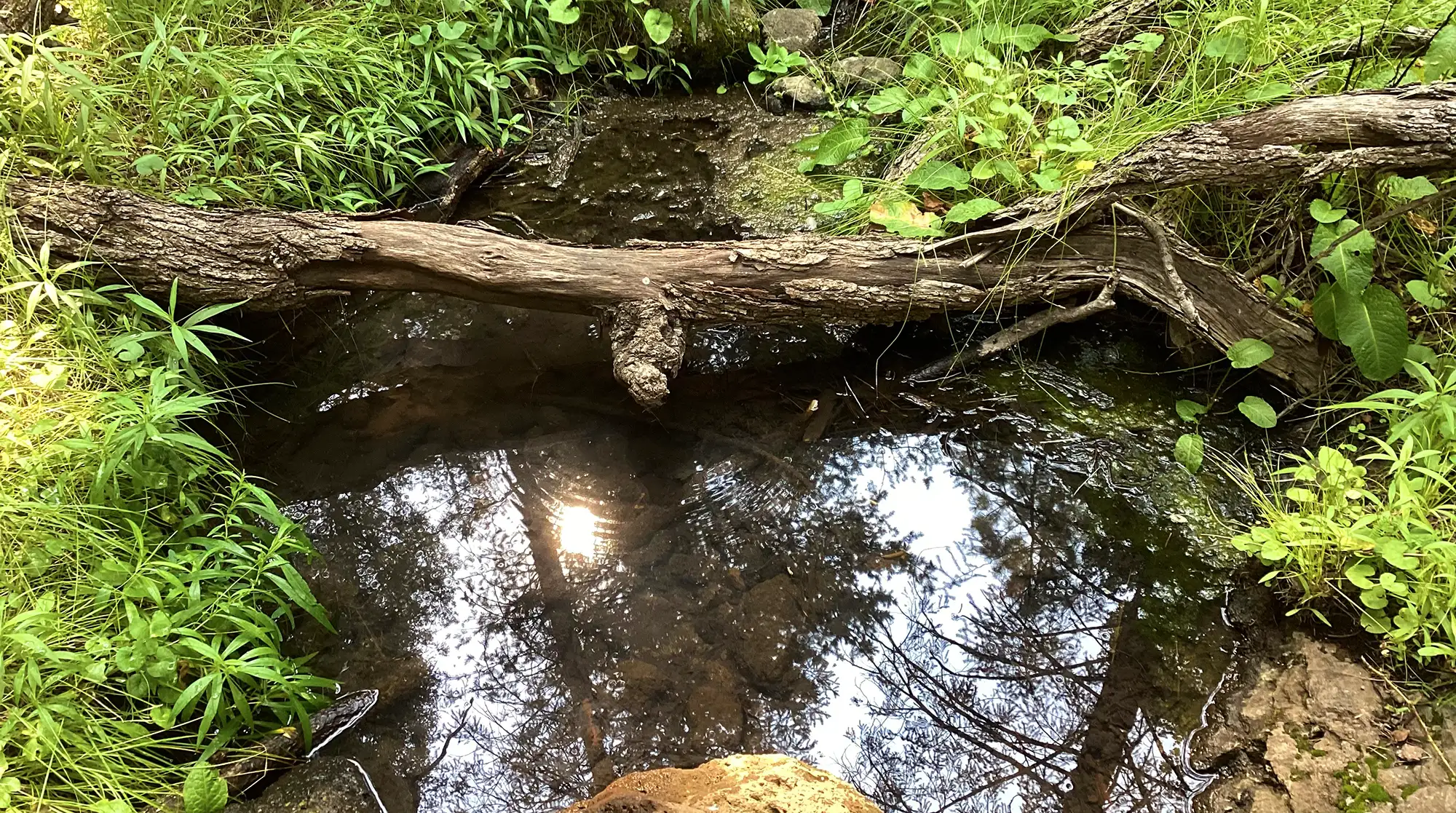 Water in a spring