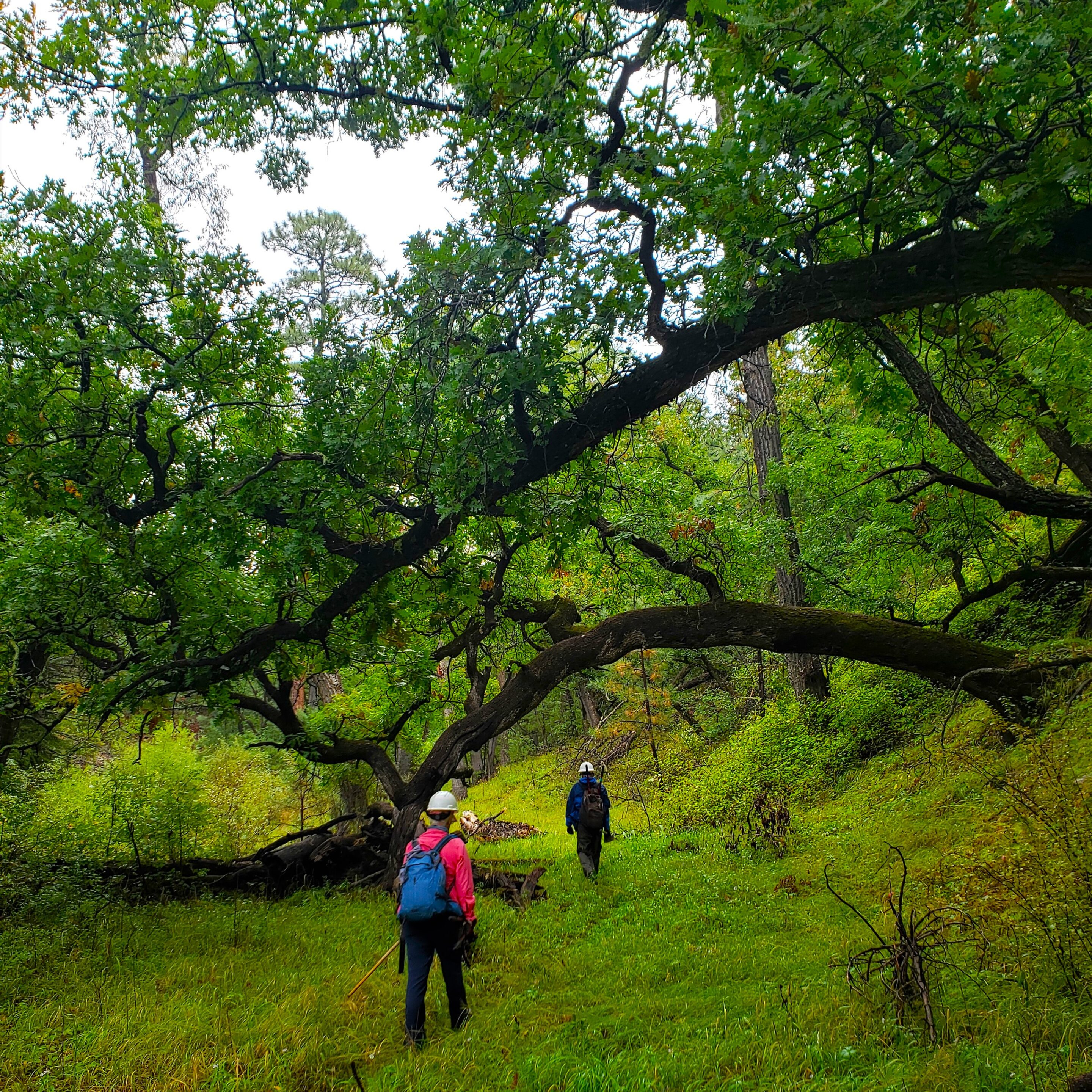 20210926_092810 (2)a