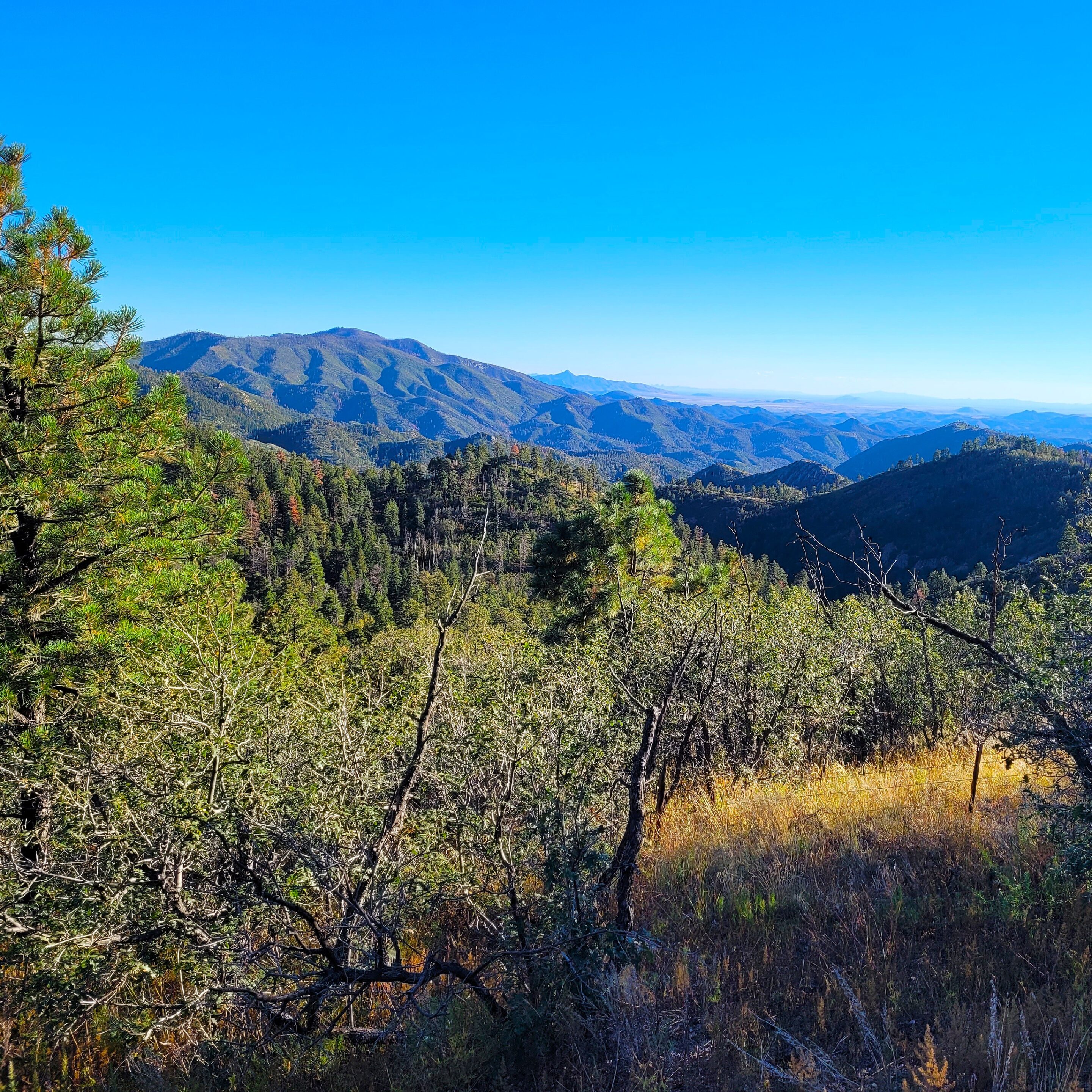 20251016_165537 (2)a