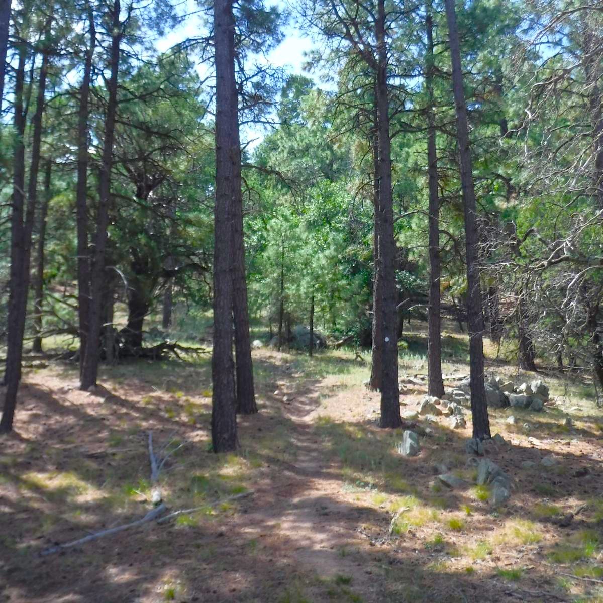 375459431_9899711386769038_4644301466283222742_na